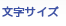 文字サイズ